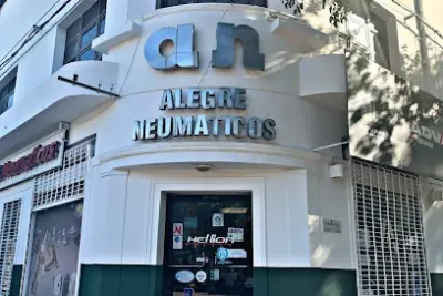 Servicio De Reparaci n Y Mantenimiento Del Autom vil Alegre